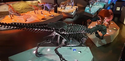 Houston Museum of Natural Science