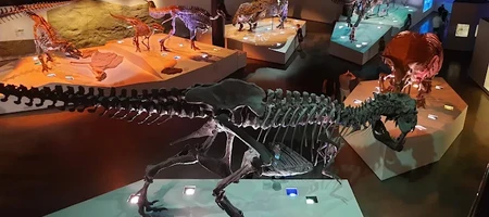 Houston Museum of Natural Sciences
