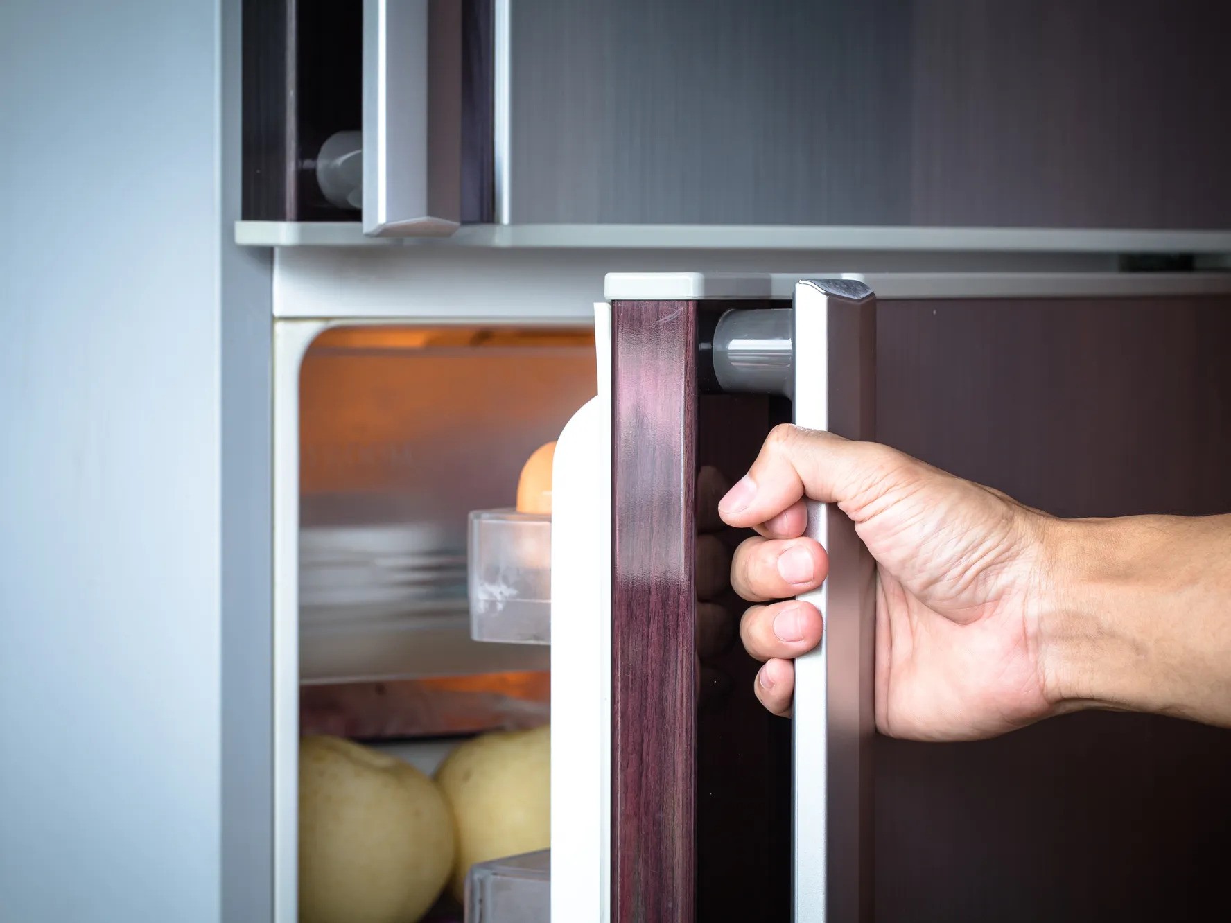 How is the Refrigerator Door Adjusted?
